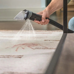 Little Green® ProHeat® Pet Portable Carpet Cleaner