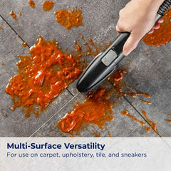 Little Green® HydroSteam® Pet Portable Carpet Cleaner