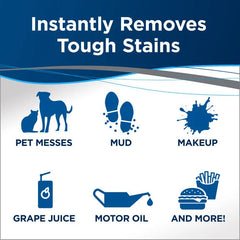Stain & Stink Instant Stain Remover