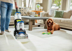Woolite® Oxy Deep® Steam Pet Carpet & Upholstery Cleaner (64 oz.)