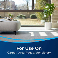 OXY Stain Pretreat for Carpet & Upholstery (22 oz)