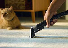 Little Green® Pet Pro Portable Carpet Cleaner