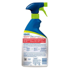 Woolite® INSTAclean® Pet Stain Remover (2-Pk) & 1 Stomp 'n Go® Pet Stain Lifting Pad