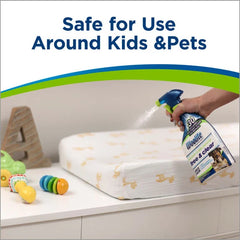 Woolite® Free & Clear Pet Stain & Odor Remover Pretreat (2-pk)