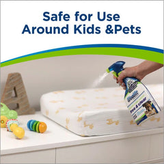 Woolite® Free & Clear Pet Stain & Odor Remover            Pretreat
