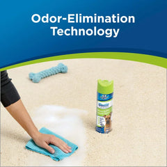 Woolite® Heavy Traffic® Carpet Foam (4-Pack)