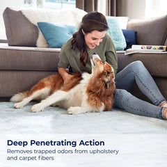 Woolite® Carpet Pet Urine Eliminator with Brush Head            Cleaner