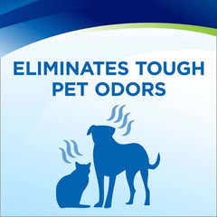 Woolite® INSTAClean® Pet Machine Formula (32 oz.)