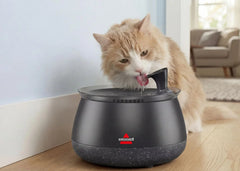HydrateWell™ Automatic Water Fountain