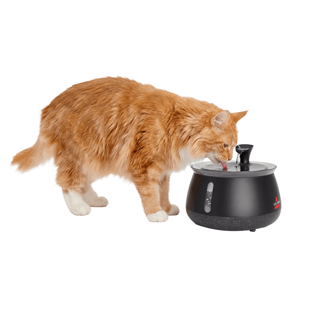 HydrateWell™ Automatic Water Fountain